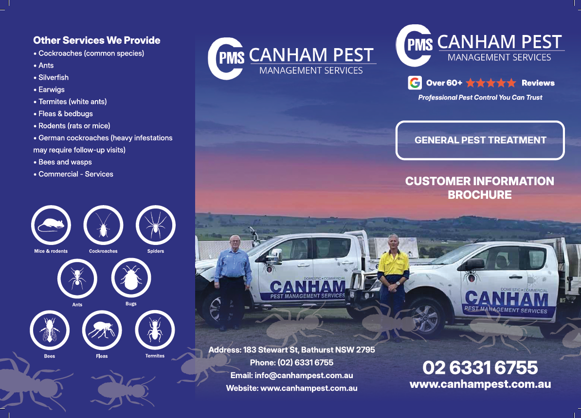 Screenshot 2026-02-18 135657